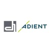 Diniz Adient Egypt