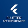 Flutter Developers